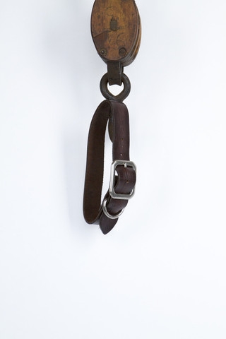 Leather dog collar