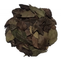 Chief Yaupon | Luhse Tea