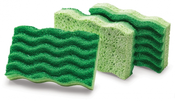 All-Purpose Sponge