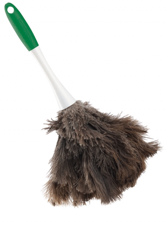 Big Feather Duster