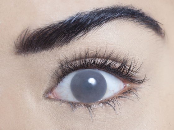 BLIND CONTACT LENSES