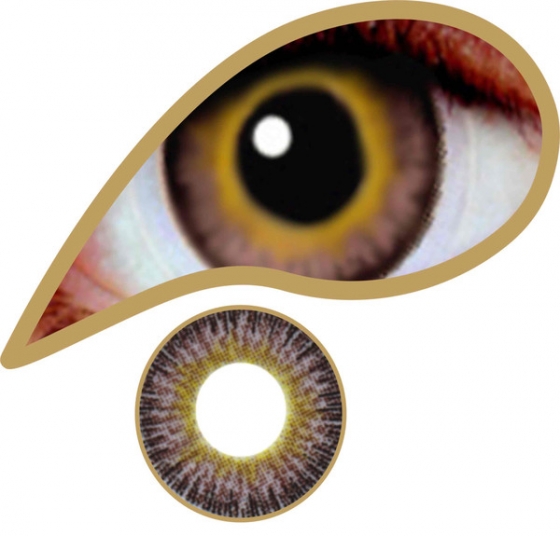 Hazel Bronze