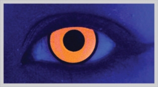 CLOCKWORK ORANGE