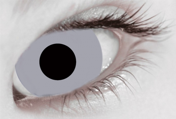 GREY MINI SCLERA 17MM