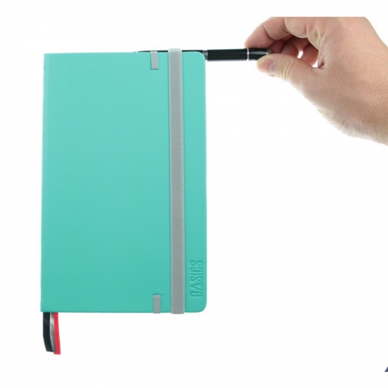 BASICS Notebook - Mint