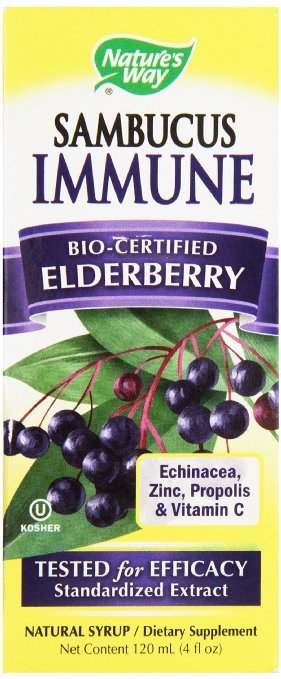 Nature's Way Sambucus, Bio-Certified Elderberry, Immune Syrup, 4 Ounce