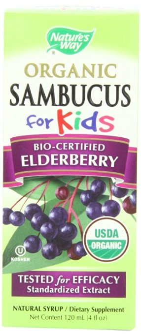Nature's Way Organic Sambucus for Kids Syrup, 4 Fluid Ounce
