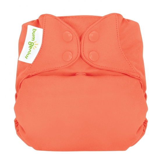 Elemental -- Natural All-in-one Diaper  (Color)