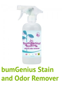 BUMGENIUS STAIN AND ODOR REMOVER