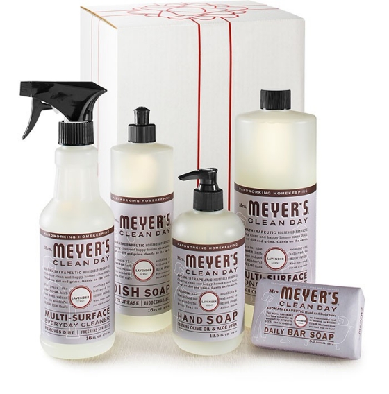 LavenderCLEANING GIFT SET